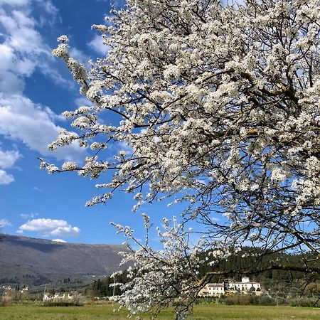 Accanto A Firenze Prato  Bagian luar foto