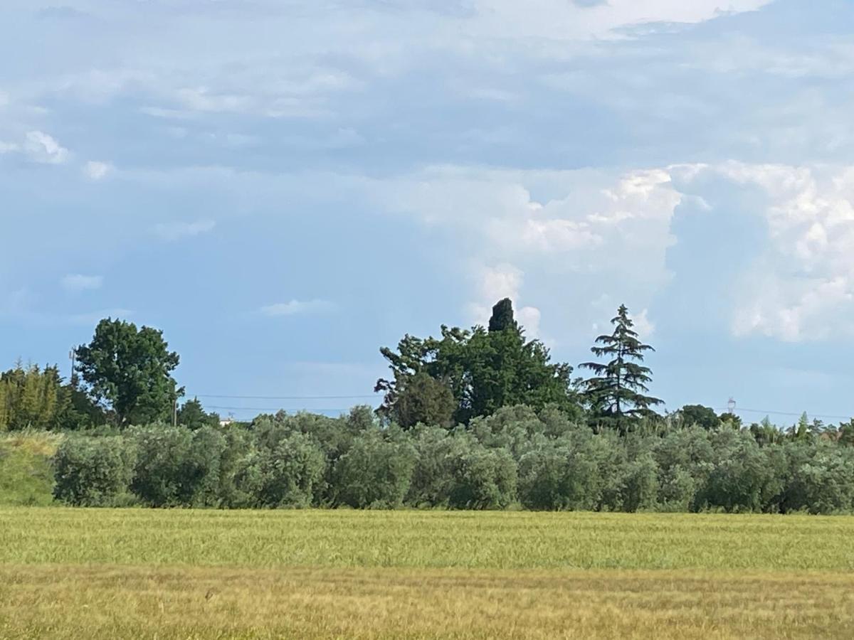 Accanto A Firenze Prato  Bagian luar foto