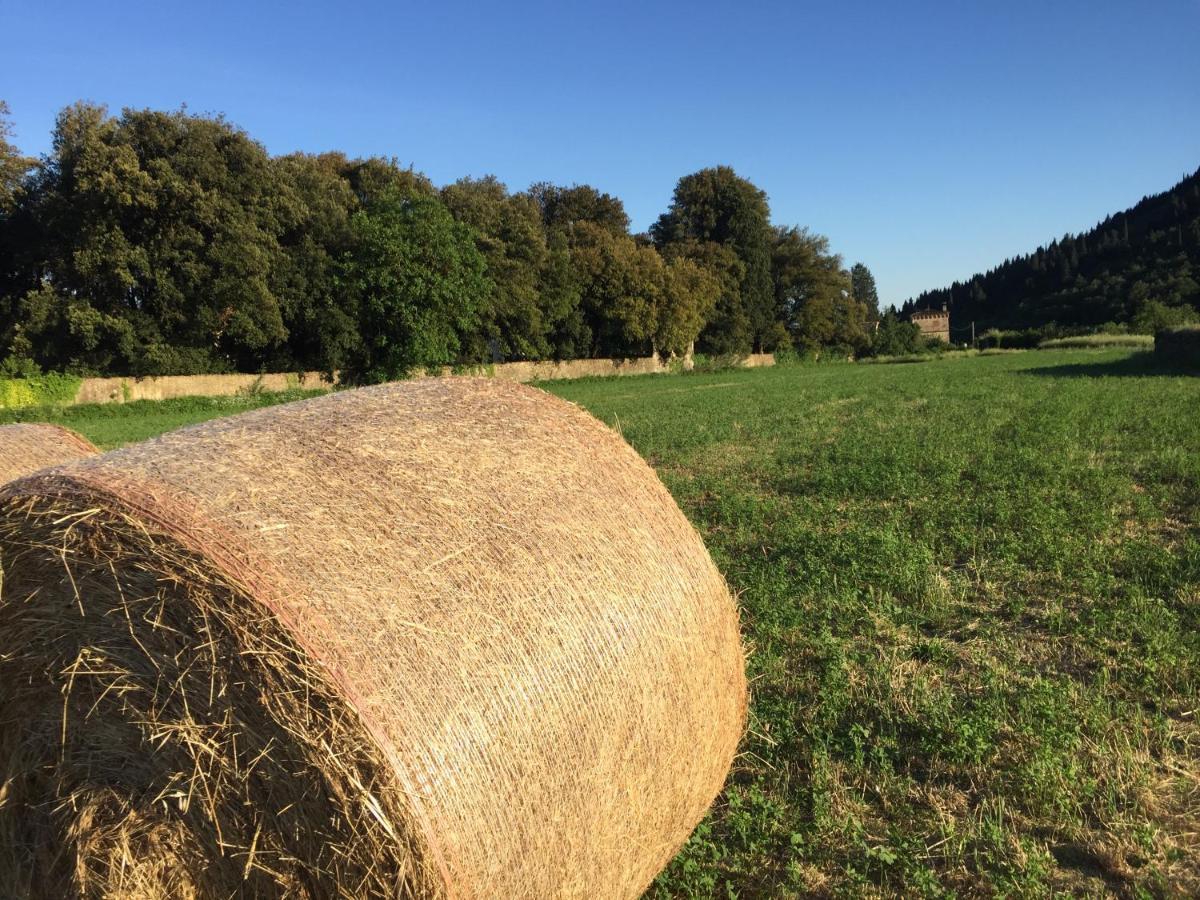 Accanto A Firenze Prato  Bagian luar foto