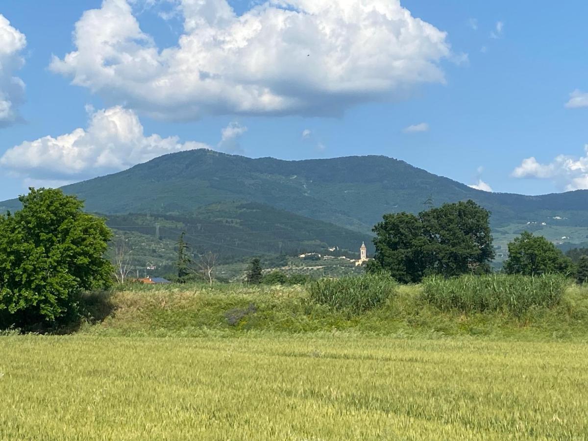 Accanto A Firenze Prato  Bagian luar foto